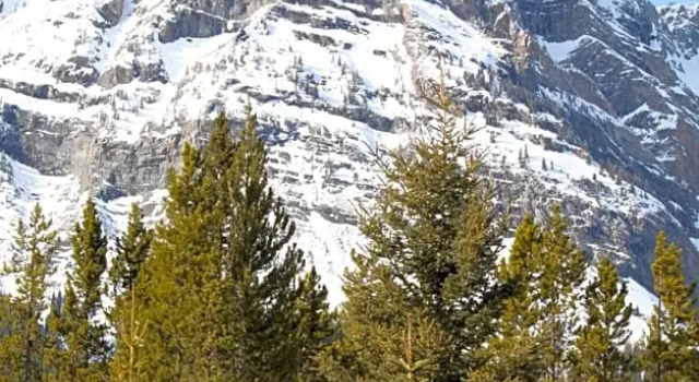 Camera doppia Standard con vista sulle montagne The Crossing