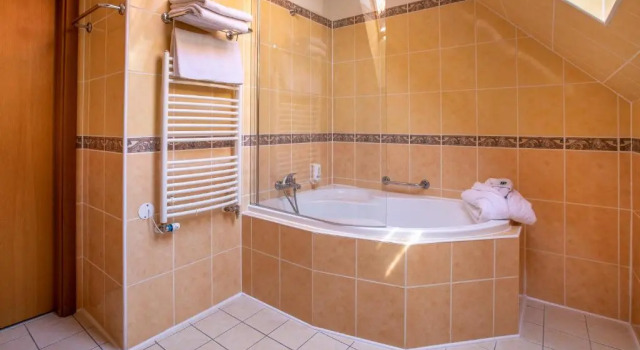 Номер Standard Darovanský Dvůr - Wellness & Golf Hotel