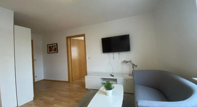 Апартаменты с 3 комнатами Waldhorn Alleenring Apartments