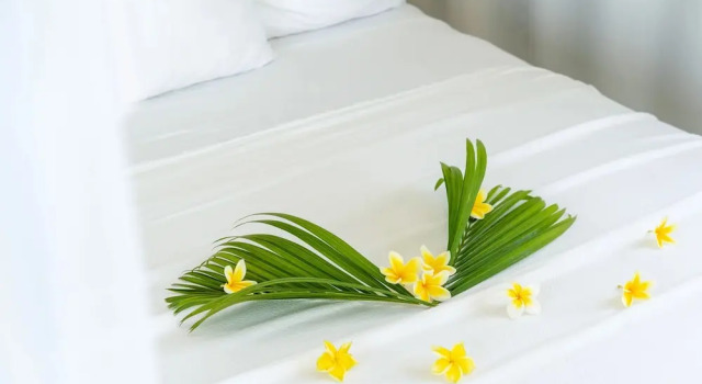 Люкс Shunyata Villas Bali