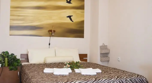 Апартаменты c 1 комнатой с балконом и с видом на город Apartments Plovdiv