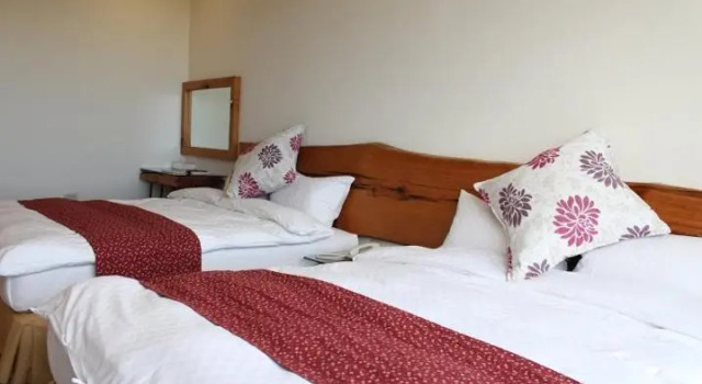 Номер Standard Tung Lodge - Taitung Branch