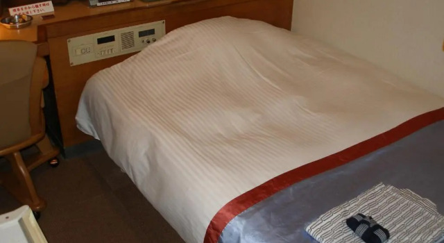 Одноместный номер South Wing Kawasaki River Hotel