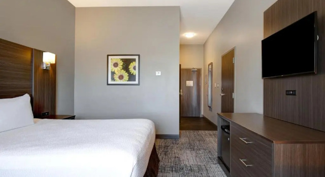 Номер Standard Days Inn & Suites by Wyndham Warman