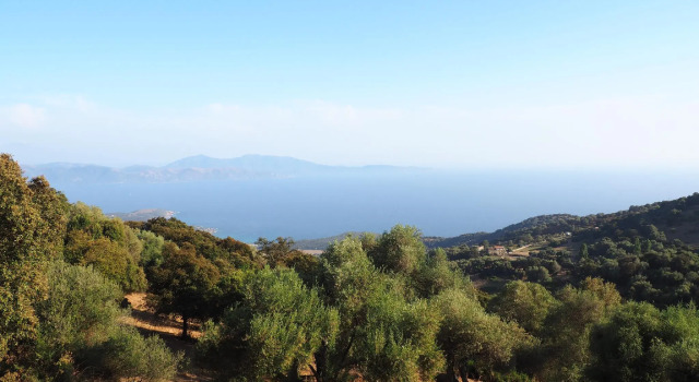 La Pampa, Varaa Hotelli Cargèse 