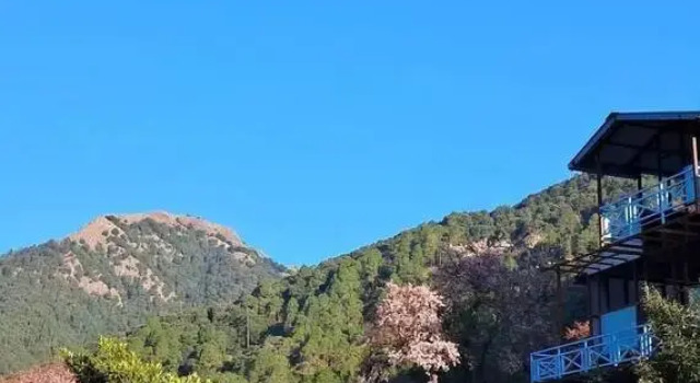 Pine Croft Aroma, Rezerwuj Hotel Hotele w Uttarakhand z basenem, Basen