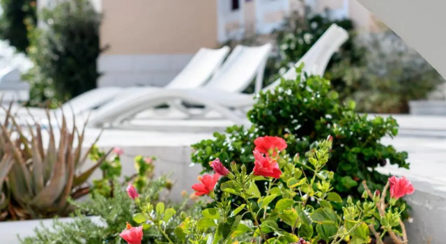 Двухместный номер Economy Veggera Beach Hotel
