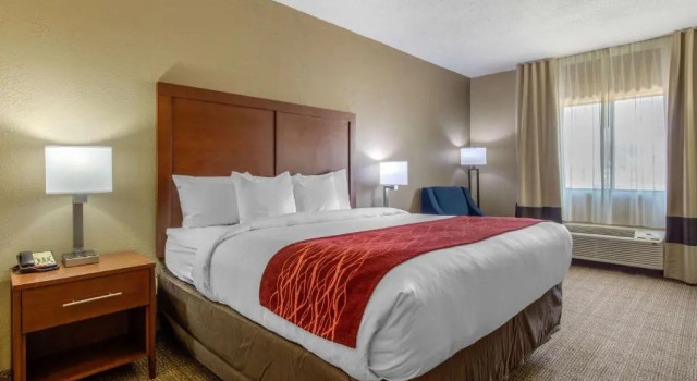 Номер Standard Comfort Inn & Suites McComb