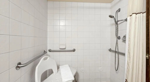 Номер Standard Best Western Plus Tree House