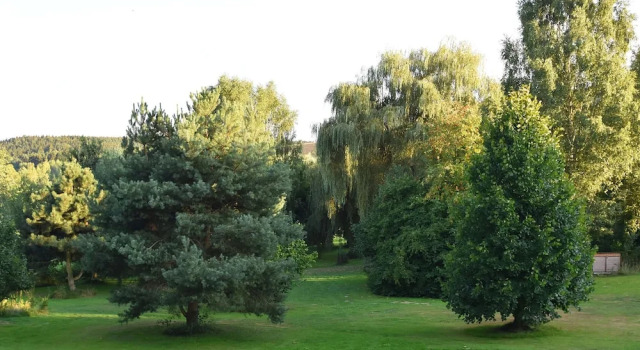 Апартаменты Tranquil Garden Apartment