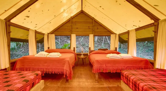 Номер Standard Belize Rainforest Retreat at Chaa Creek