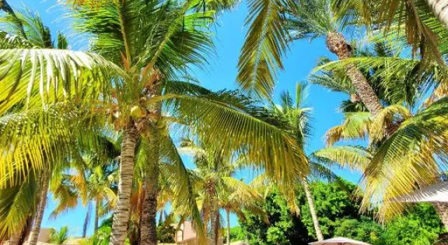 Coco Cabañas and Casitas Vacation Rentals, Забронировать Отель Отели Лорето с парковкой, Парковка
