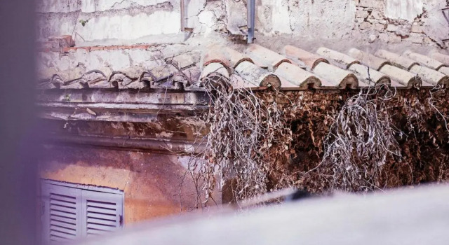 Peretti Rome Trastevere Home