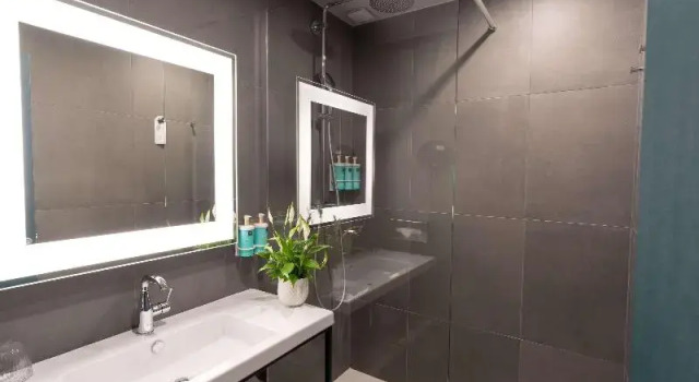 Люкс Novotel Angers Lac de Maine