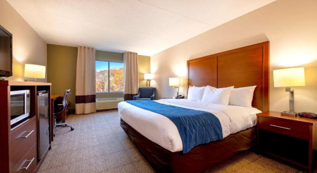 Suite 1 Schlafzimmer Comfort Inn Near Quantico Main Gate North
