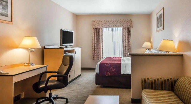 Люкс Comfort Inn & Suites Airport Convention Center
