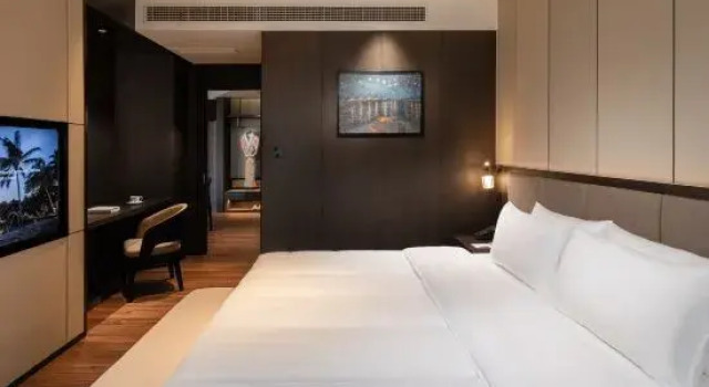 Люкс Executive Chongqing Girit Holiday Inn
