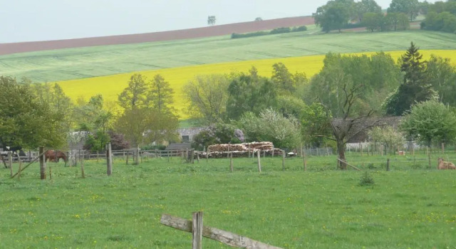 Коттедж Ferienhaus Kruk