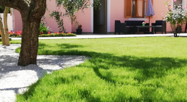 Апартаменты Apartments Prodan