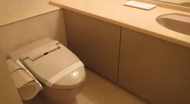 Kosho, Prenota Hotel Toyooka Hyogo