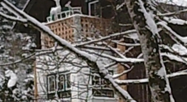 Georges Rast, 预订 酒店 阿尔陶塞 Ausseerland