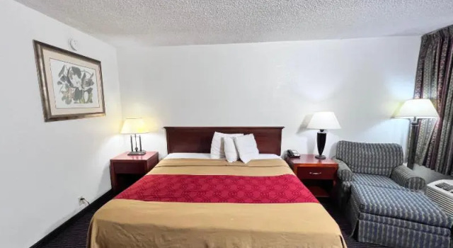 Люкс Heritage Inn & Suites by Capital O Baton Rouge I 10
