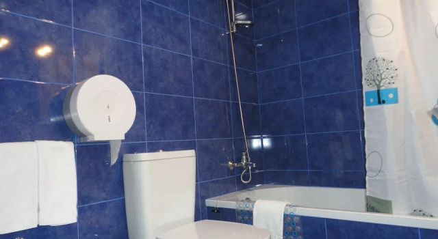 Трёхместный номер Standard Hotel Domus