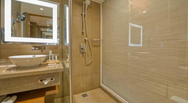 Номер Standard Novotel Bengaluru Outer Ring Road