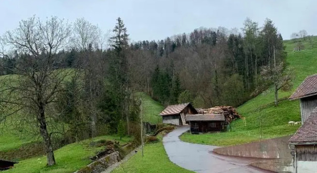 Номер Standard Hotel - Restaurant Eierhals am Ägerisee