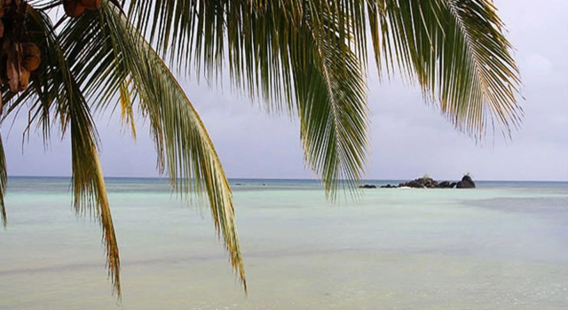 Tarzans Beach Resort, Rezerwuj Ośrodek wypoczynkowy Dapa Siargao Island