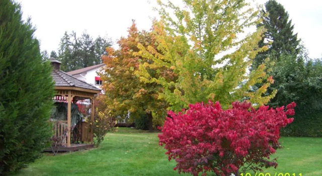 Семейный номер Standard Bavarian Orchard Motel