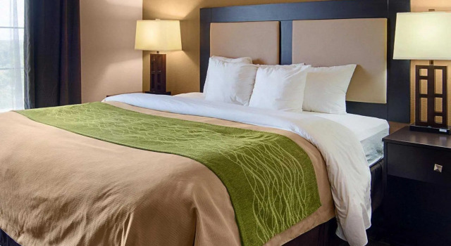 Люкс Comfort Inn & Suites Paris