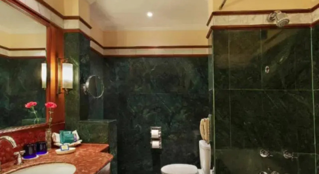 Номер Superior The Oberoi Cecil