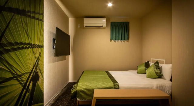 Двухместный номер Deluxe HOTEL BLAX