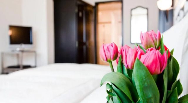 Двухместный номер Comfort Tailormade Hotel METROPOL St Gallen