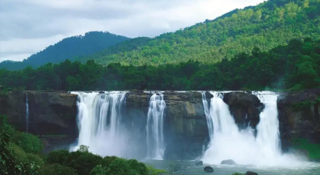 Двухместный номер Luxury Rainforest Resort