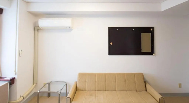 Deluxe pokoj Ｔａｂｉｓｔ Ｈｏｔｅｌ サンライト