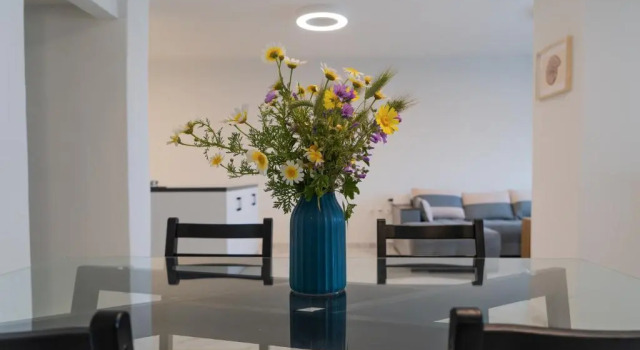 Almiri apartment and studio, modern and spacious