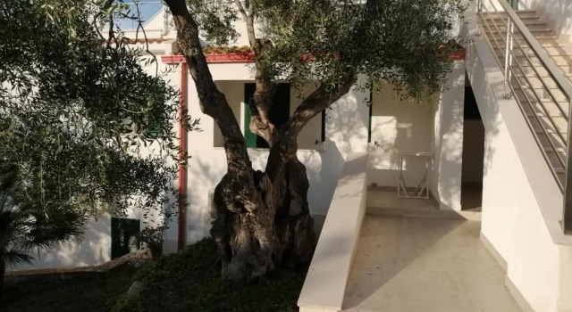Студия Villa Elisa