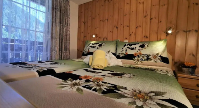 Двухместный номер Standard с балконом Hotel Walliserhof-Leukerbad-Therme