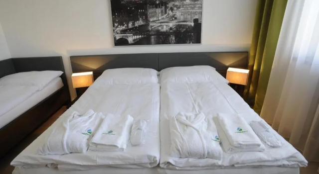 Трёхместный номер Deluxe Hotel Harmony Medical & Wellness-Free Parking, 1,8km from the center