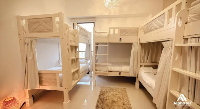 Кровать в общем номере Alphatel Beach Hostel JBR