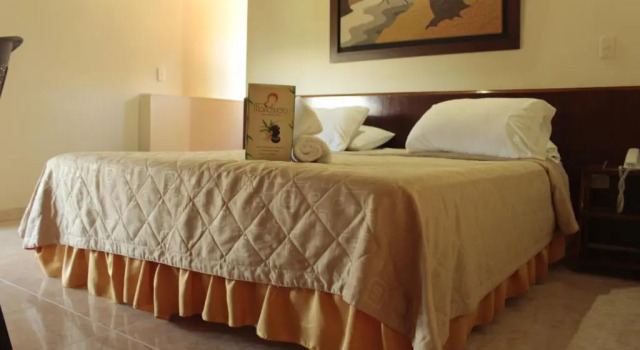 Двухместный номер Standard Hotel Monchuelo Spa