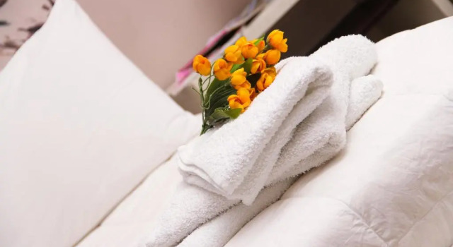 Номер Standard Vivar Hotel