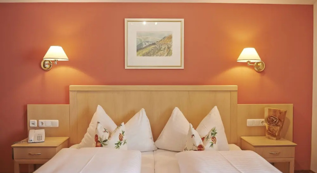 Двухместный номер Standard c 1 комнатой с балконом и с видом на горы Hotel Steiger