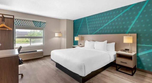 Standardní Dvoulůžkový s manželskou postelí suterén pokoj Sleep Inn Muskoka