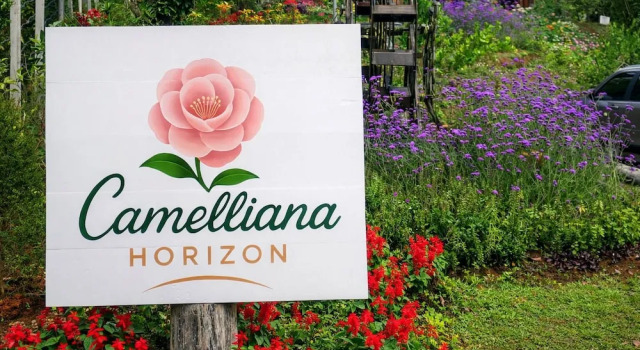 Camelliana Horizon Pongyang