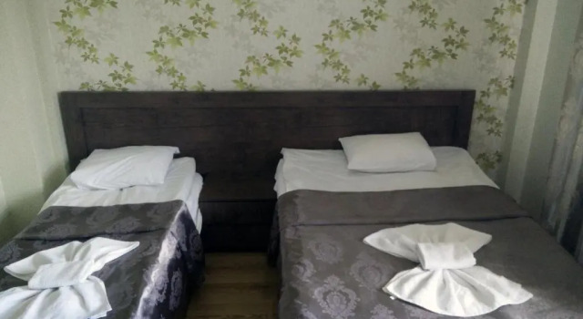 Двухместный номер Standard Hotel Mimino