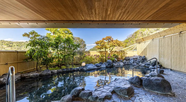 Одноместный номер Business Shuzenji Onsen Katsuragawa