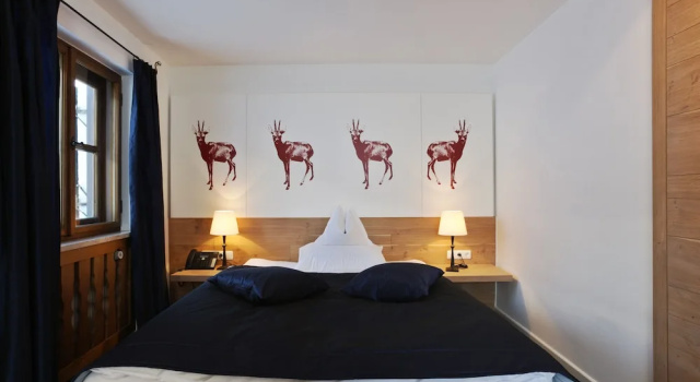 Номер Standard Hinterwies   Ski In / Lodge / Dine